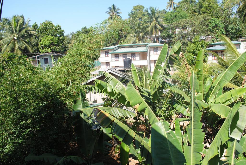Evening Star Guest Inn Kandy Kültér fotó
