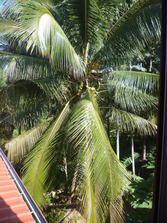 Evening Star Guest Inn Kandy Kültér fotó