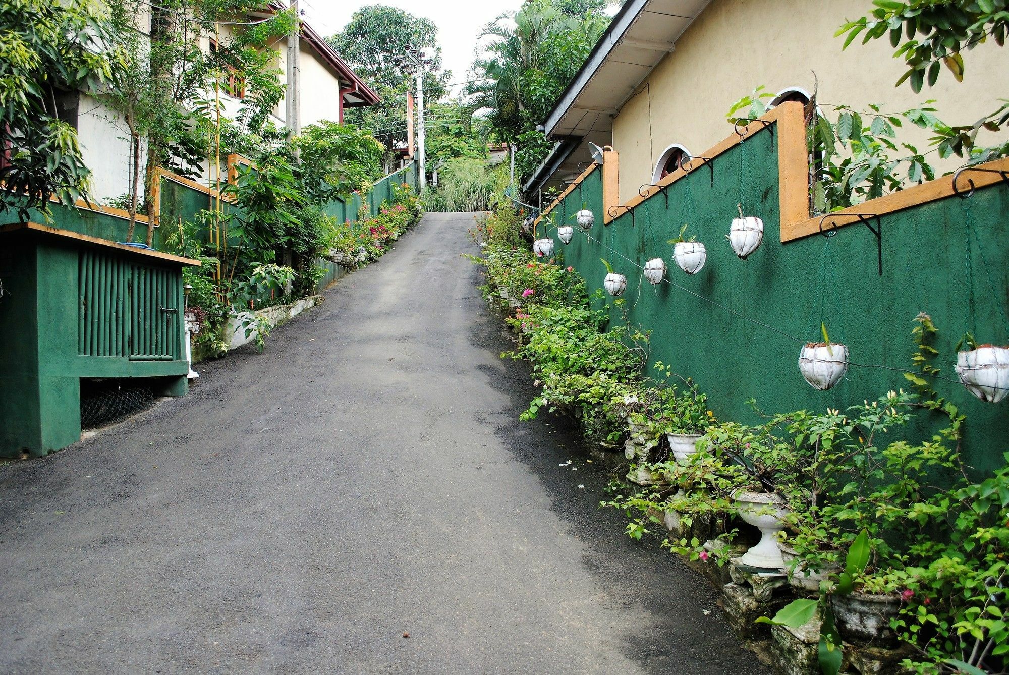Evening Star Guest Inn Kandy Kültér fotó
